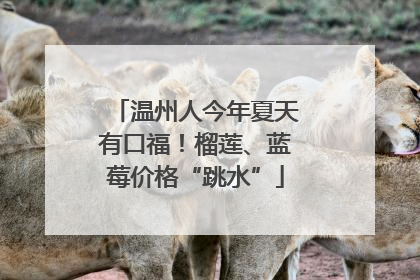 温州人今年夏天有口福！榴莲、蓝莓价格“跳水”