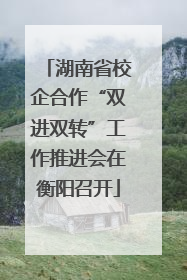 湖南省校企合作“双进双转”工作推进会在衡阳召开