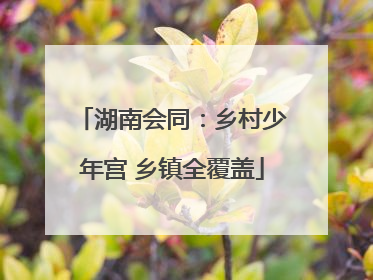湖南会同：乡村少年宫 乡镇全覆盖
