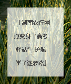 湖南农行网点变身“高考驿站” 护航学子逐梦路