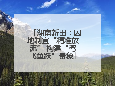 湖南新田：因地制宜“精准放流” 构建“鸢飞鱼跃”景象