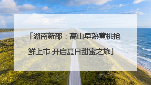 湖南新邵：高山早熟黄桃抢鲜上市 开启夏日甜蜜之旅