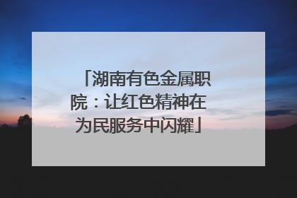 湖南有色金属职院：让红色精神在为民服务中闪耀