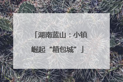 湖南蓝山：小镇崛起“箱包城”