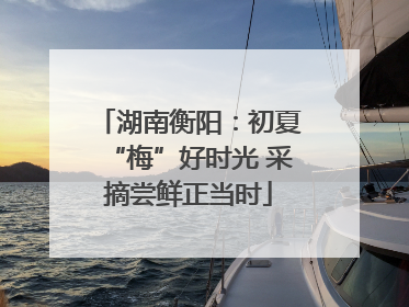 湖南衡阳：初夏“梅”好时光 采摘尝鲜正当时