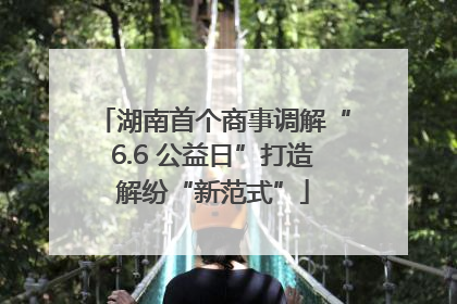 湖南首个商事调解“6.6 公益日”打造解纷“新范式”