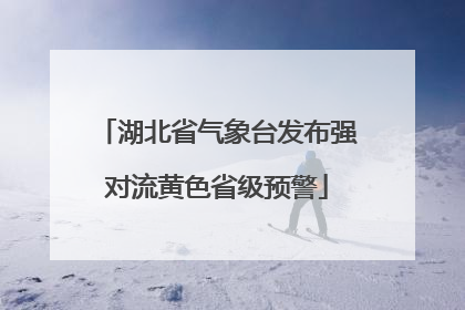 湖北省气象台发布强对流黄色省级预警