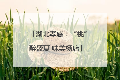 湖北孝感：“桃”醉盛夏 味美杨店