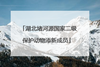 湖北堵河源国家二级保护动物添新成员