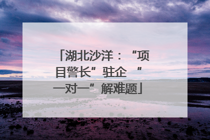 湖北沙洋：“项目警长”驻企 “一对一”解难题