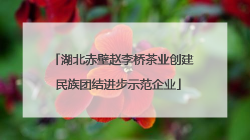 湖北赤壁赵李桥茶业创建民族团结进步示范企业