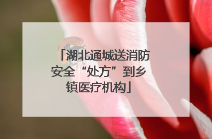 湖北通城送消防安全“处方”到乡镇医疗机构