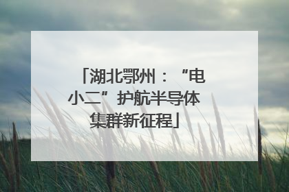 湖北鄂州：“电小二”护航半导体集群新征程