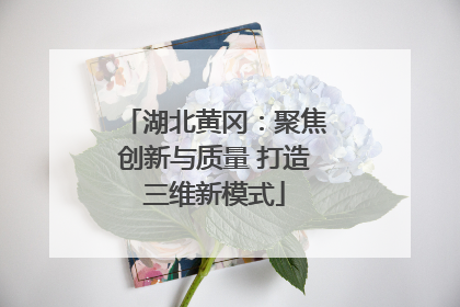 湖北黄冈：聚焦创新与质量 打造三维新模式