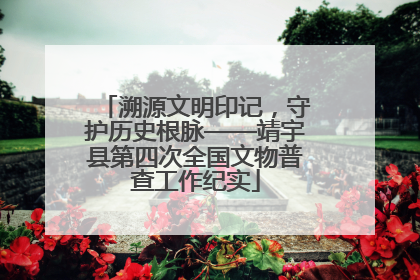 溯源文明印记，守护历史根脉——靖宇县第四次全国文物普查工作纪实