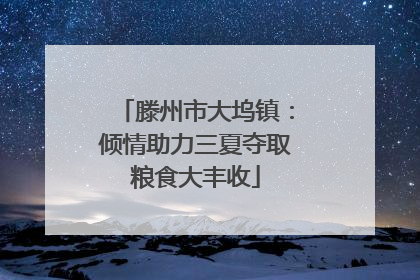 滕州市大坞镇：倾情助力三夏夺取粮食大丰收