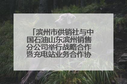 滨州市供销社与中国石油山东滨州销售分公司举行战略合作暨充电站业务合作协议签约仪式