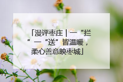 漫评枣庄｜一“拦”一“送”皆温暖，柔心善意映枣城
