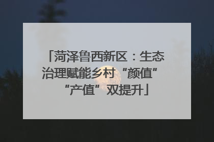 菏泽鲁西新区：生态治理赋能乡村“颜值”“产值”双提升