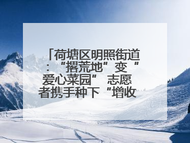 荷塘区明照街道：“撂荒地”变“爱心菜园” 志愿者携手种下“增收希望”