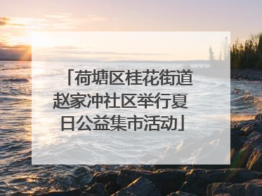 荷塘区桂花街道赵家冲社区举行夏日公益集市活动