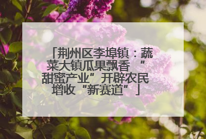 荆州区李埠镇：蔬菜大镇瓜果飘香 “甜蜜产业”开辟农民增收“新赛道”