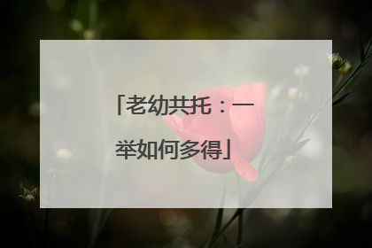 老幼共托：一举如何多得