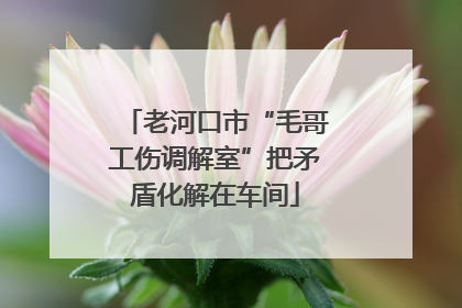 老河口市“毛哥工伤调解室”把矛盾化解在车间