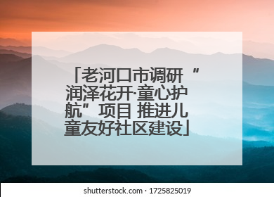 老河口市调研“润泽花开·童心护航”项目 推进儿童友好社区建设