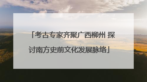 考古专家齐聚广西柳州 探讨南方史前文化发展脉络