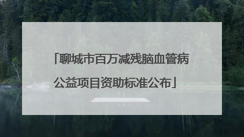聊城市百万减残脑血管病公益项目资助标准公布
