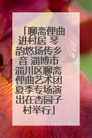 聊斋俚曲进村居 琴韵悠扬传乡音 淄博市淄川区聊斋俚曲艺术团夏季专场演出在杏园子村举行