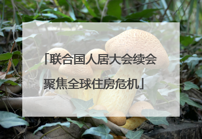 联合国人居大会续会聚焦全球住房危机