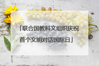 联合国教科文组织庆祝首个文明对话国际日