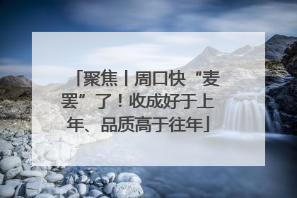 聚焦丨周口快“麦罢”了！收成好于上年、品质高于往年