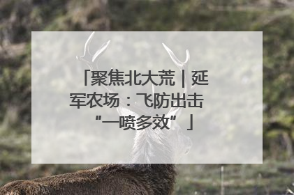 聚焦北大荒｜延军农场：飞防出击 “一喷多效”