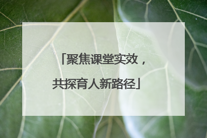 聚焦课堂实效，共探育人新路径