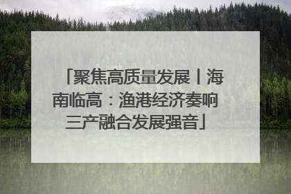 聚焦高质量发展丨海南临高：渔港经济奏响三产融合发展强音