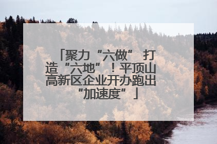 聚力“六做” 打造“六地”！平顶山高新区企业开办跑出“加速度”