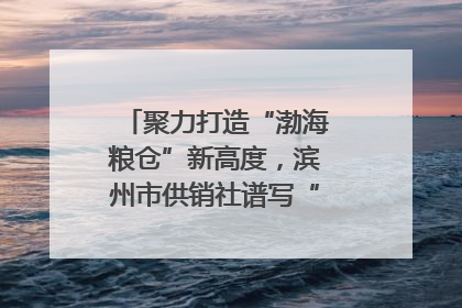 聚力打造“渤海粮仓”新高度，滨州市供销社谱写“三夏”丰收乐章