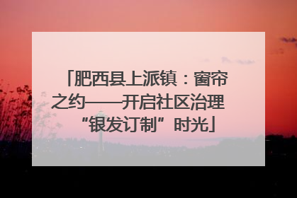 肥西县上派镇：窗帘之约——开启社区治理“银发订制”时光