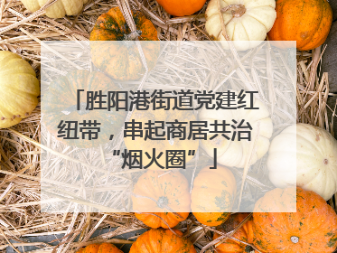 胜阳港街道党建红纽带，串起商居共治 “烟火圈”
