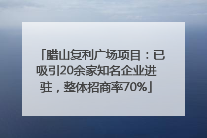 腊山复利广场项目：已吸引20余家知名企业进驻，整体招商率70%