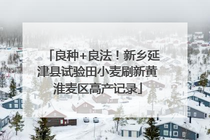 良种+良法！新乡延津县试验田小麦刷新黄淮麦区高产记录