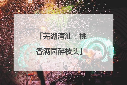 芜湖湾沚：桃香满园醉枝头