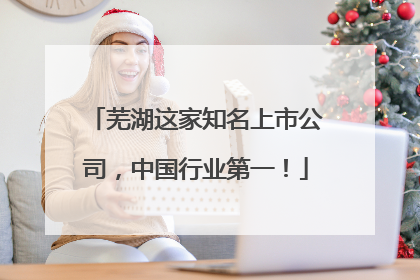 芜湖这家知名上市公司，中国行业第一！
