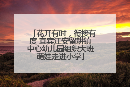 花开有时，衔接有度 宜宾江安留耕镇中心幼儿园组织大班萌娃走进小学