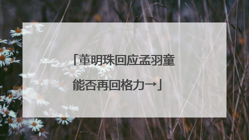 董明珠回应孟羽童能否再回格力→
