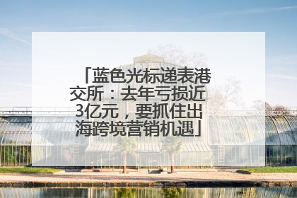 蓝色光标递表港交所：去年亏损近3亿元，要抓住出海跨境营销机遇