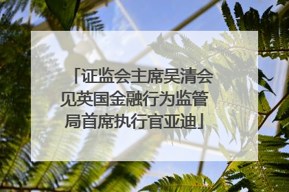证监会主席吴清会见英国金融行为监管局首席执行官亚迪
